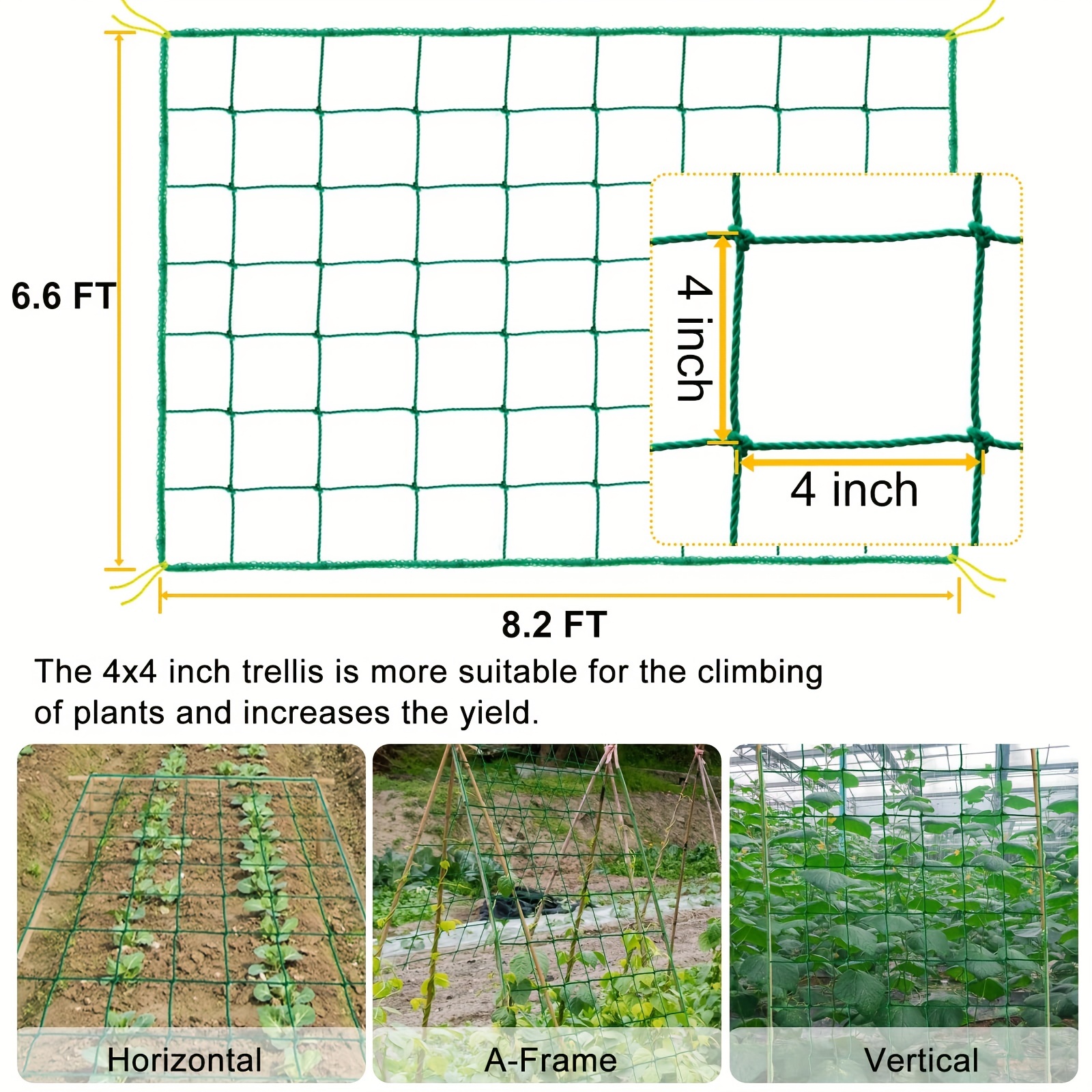 1       for             for   vine   vegetables     2x5m