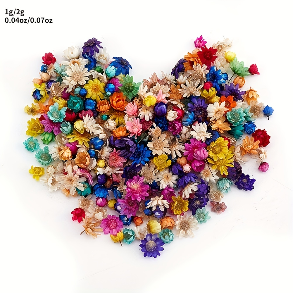 Dengmore Natural Dried Flowers Combination DIY Dry Flower Decorative For  Crafts Jewelry