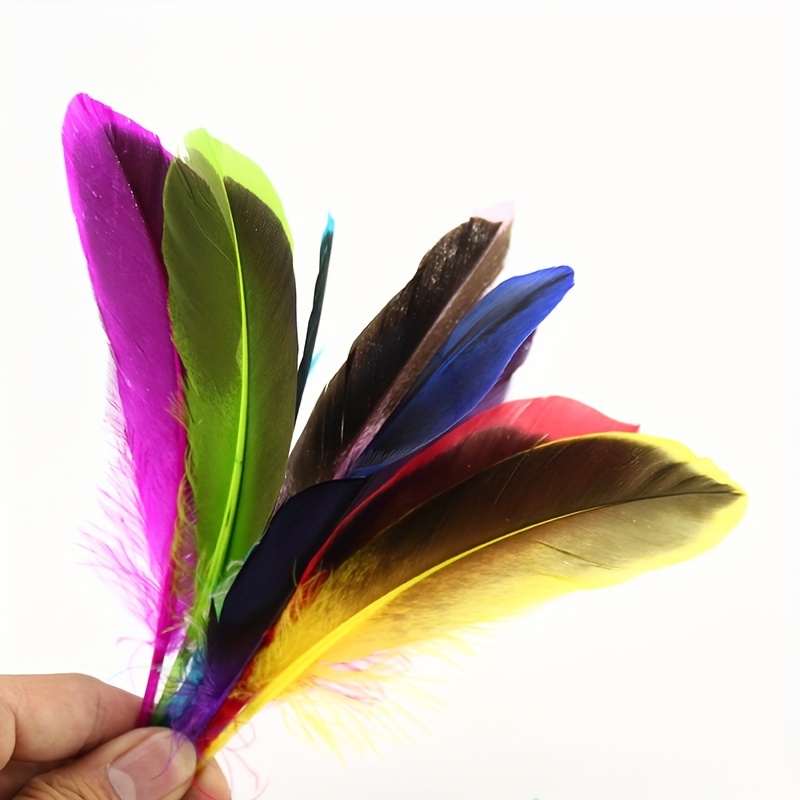 Colored Duck Feathers For Crafts Natural Pheasant Jewelry - Temu