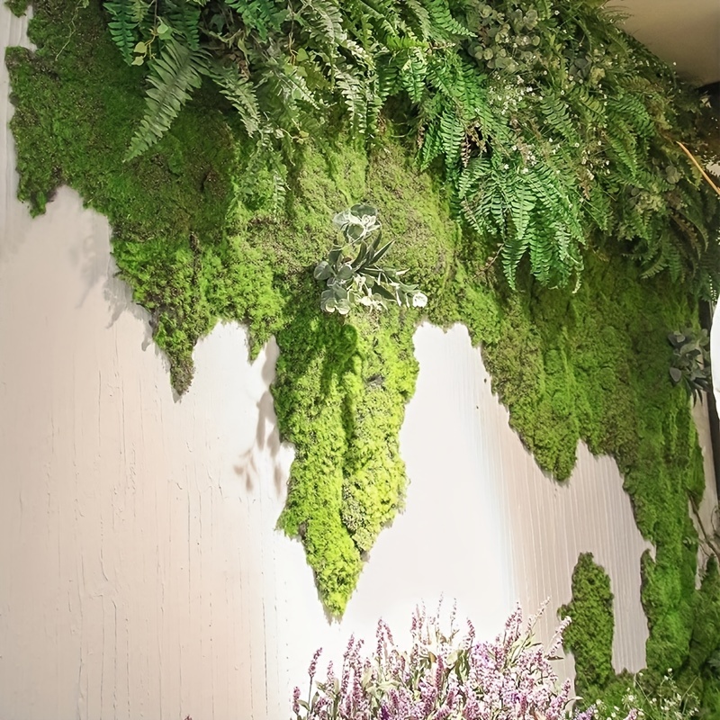 Musgo artificial / FOREST DARK GREEN musgo de reno conservado para plantas  de aire,tilandsia, floristería, cesta colgante, decoración de plantas de  aire -  México