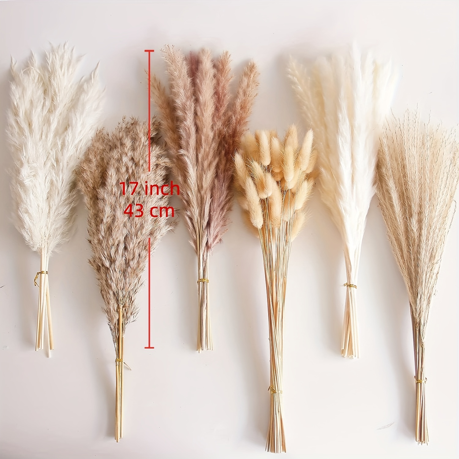 110 Piezas 6 Tipos Diferentes Pampas Secas Decoración Mesa - Temu