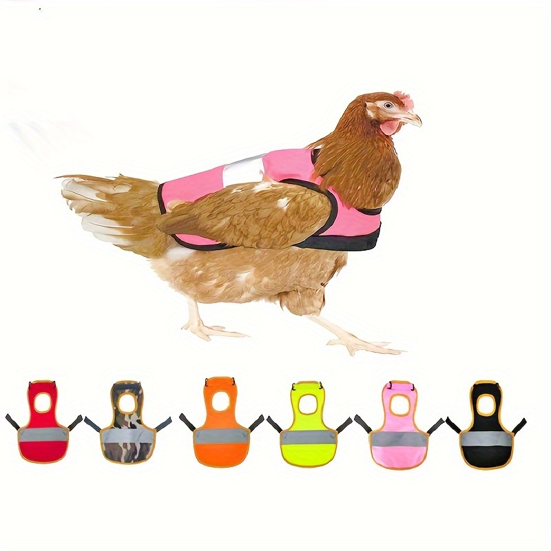 Chicken Toys Chicken Arms Muscle Arms Trex Arm Claws Costume Cosplay  Decoration For Rooster Chicken Hens - Temu Estonia