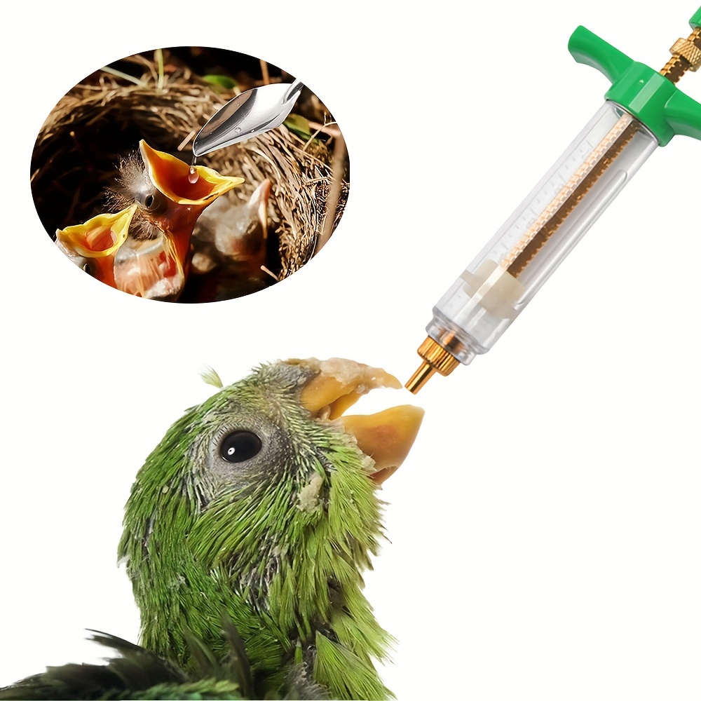 Aguja de alimentación Manual para cría, tubo recto de medicación, jaula  para pájaros, ratones, loros, jeringuilla