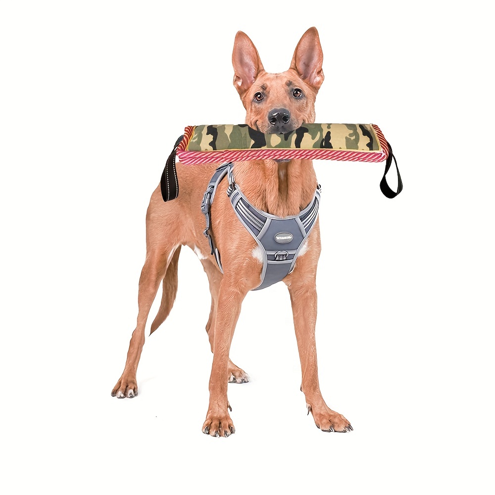 Durable Dog Chew Toys For Training And Exercise Teaser Stick - Temu