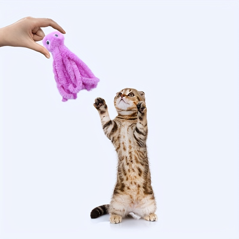 Brinquedo para mastigar gato, Brinquedo para mastigar gato colorido dos desenhos  animados, Brinquedos de dentição para gatos de tecido de pelúcia,  brinquedos interativos de movimento para Nanyaciv