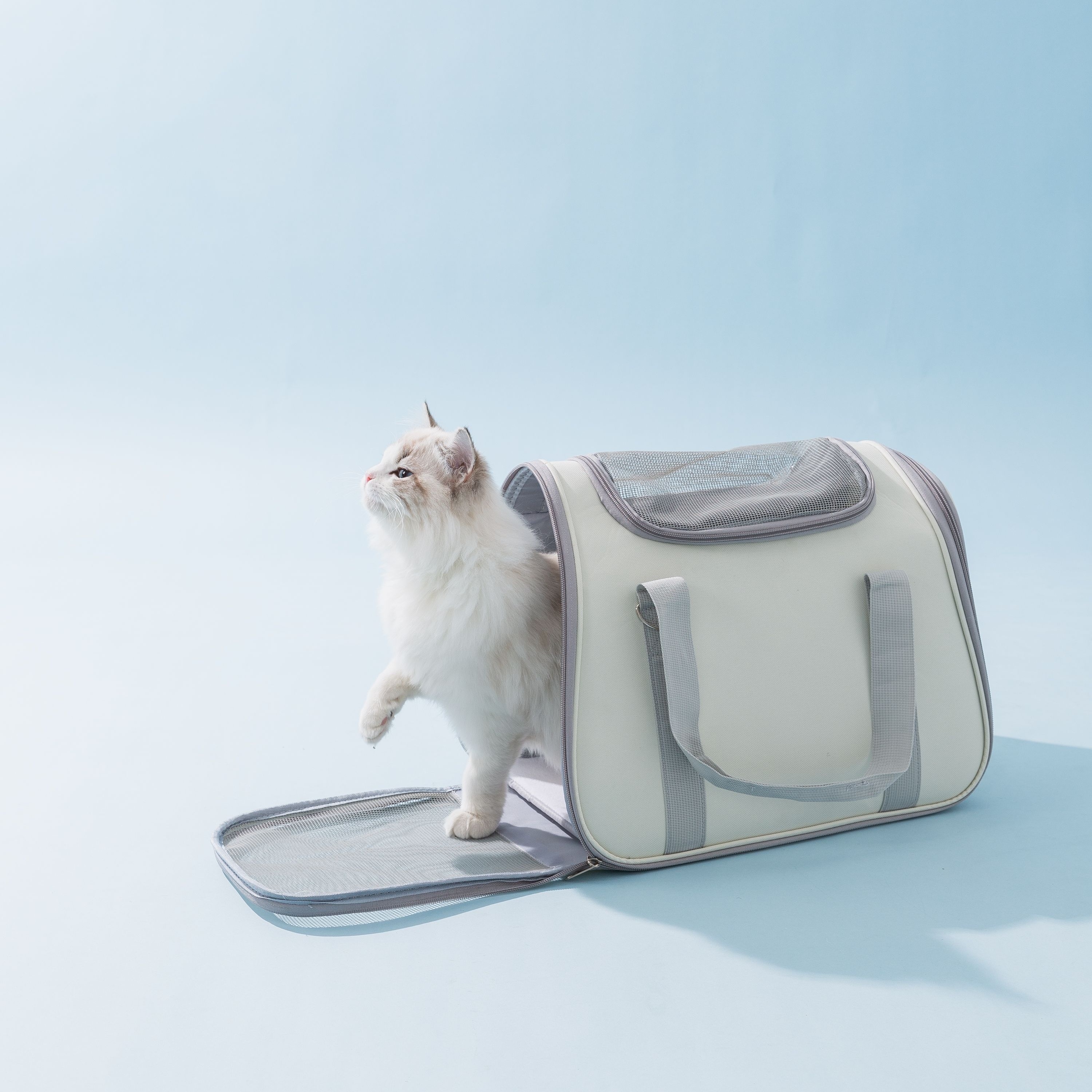 Breathable Pet Trolley Bag With Large Capacity For - Temu