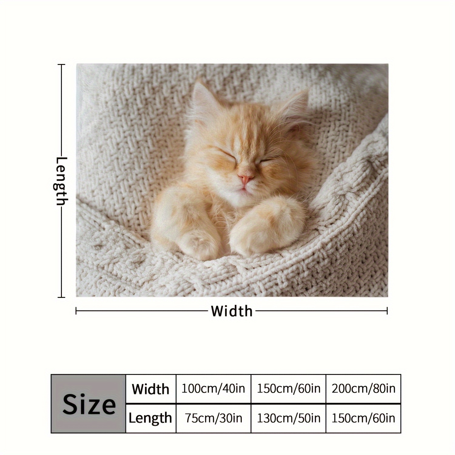 Cat Blanket for Kids and Women, Cute Cat Life Theme Pattern Super Soft Cozy  Flannel Sofa Throw Blanket, Kawaii Kitten Gift for Cat Lovers 50x60 Inch