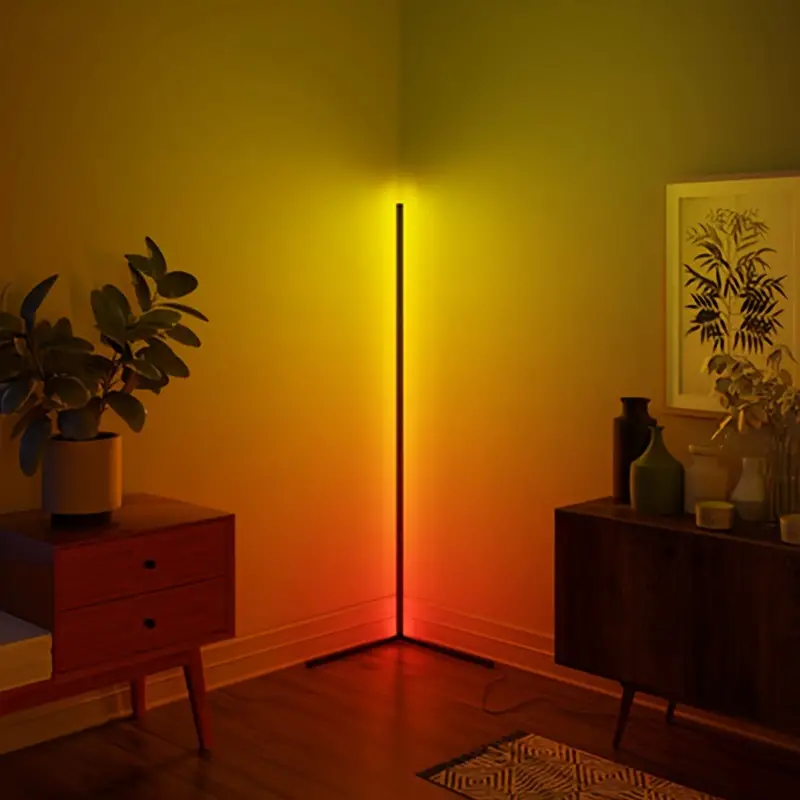 Led Color changing Floor Lamp 5v Usb App Home Bedroom Living - Temu United Kingdom
