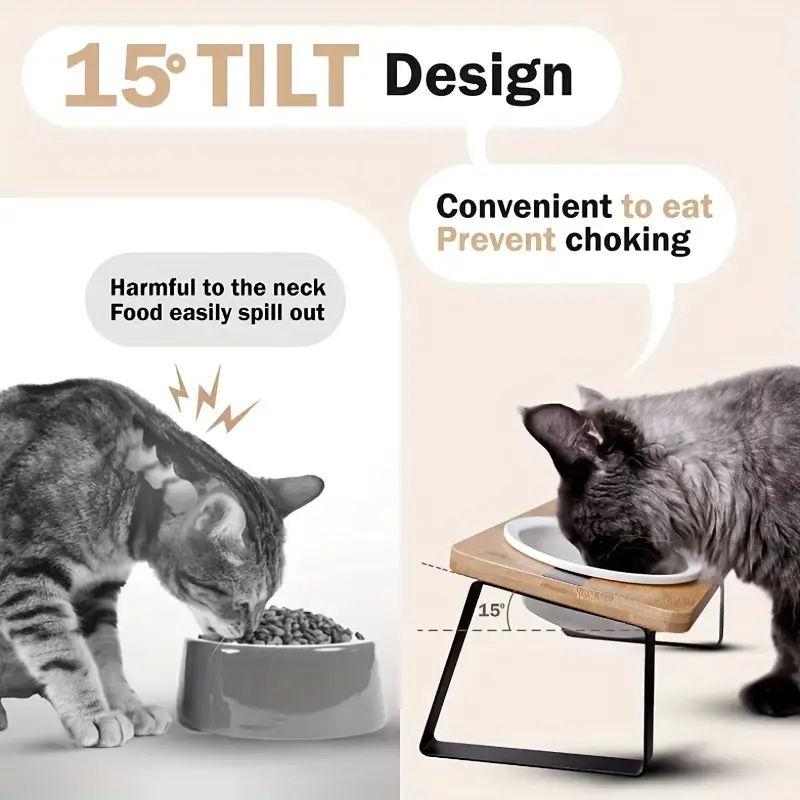 Elevated Ceramic Cat Double Bowls With Stand, Raised Tilted Bamboo Cat  Feeder Stand With Anti Vomiting Bowls For Food And Water - Temu