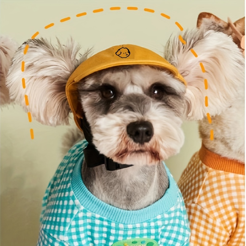 Sombrero de cubo para perros, gorros para mascotas, accesorios de