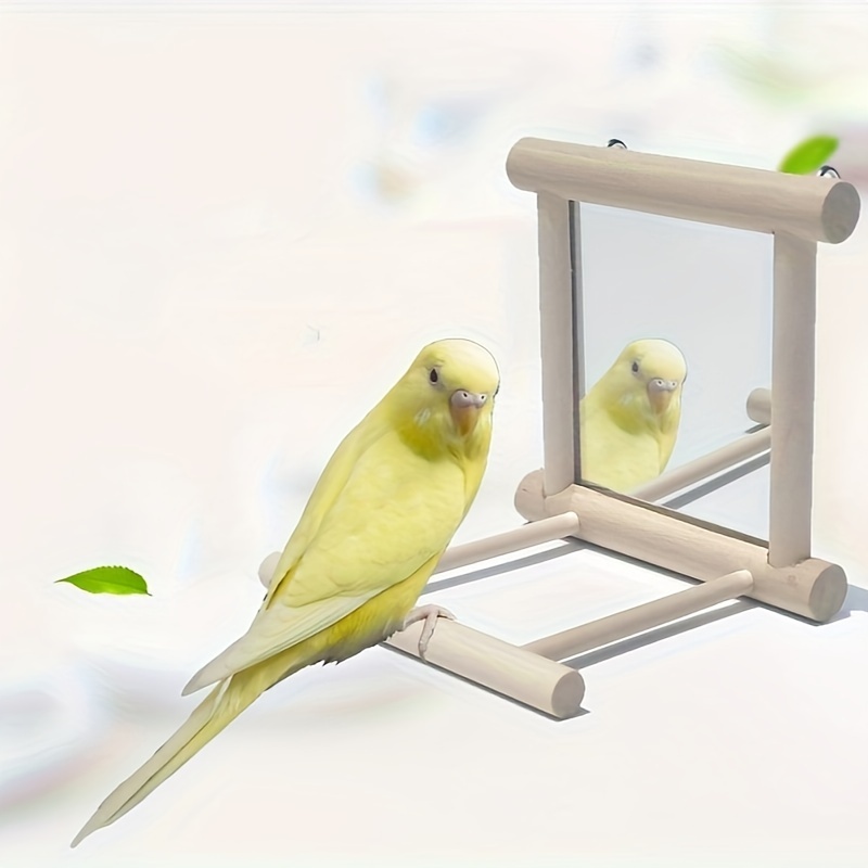 budgie mirror toys