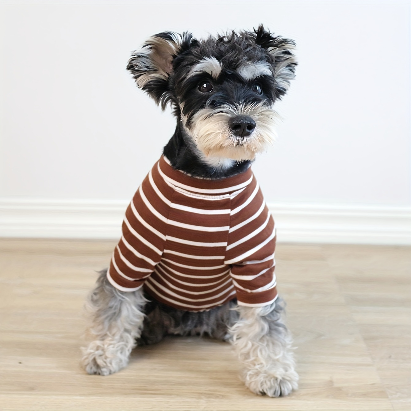 Miniature sales schnauzer pajamas