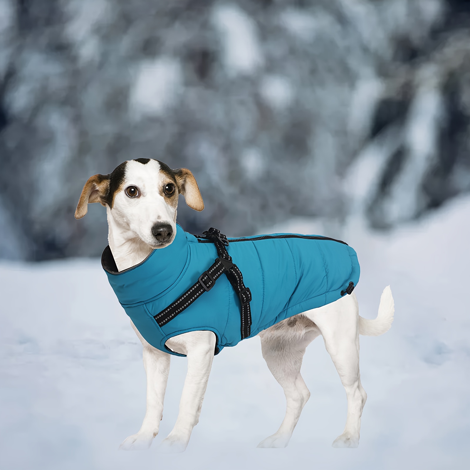 Waterproof Dog Jacket with Harness Reflective, Padded Winter Coat for  Small to Medium Breeds, Teal Blue with Adjustable Straps Zipper Closure,  Saf