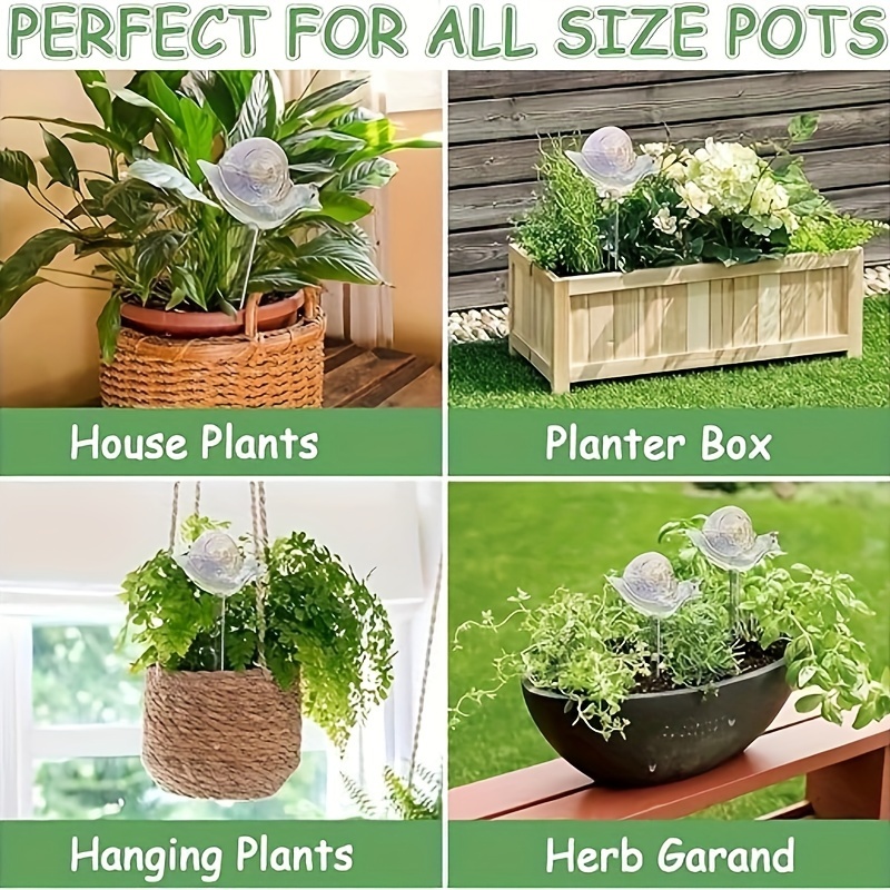 Glass Plant Watering Globes - 6 Pack Self Watering Spikes - Bird Shaped