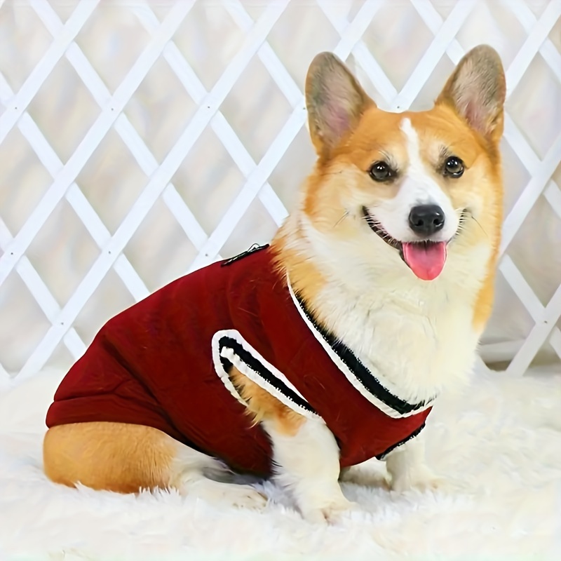 Dog sweater hot sale vest