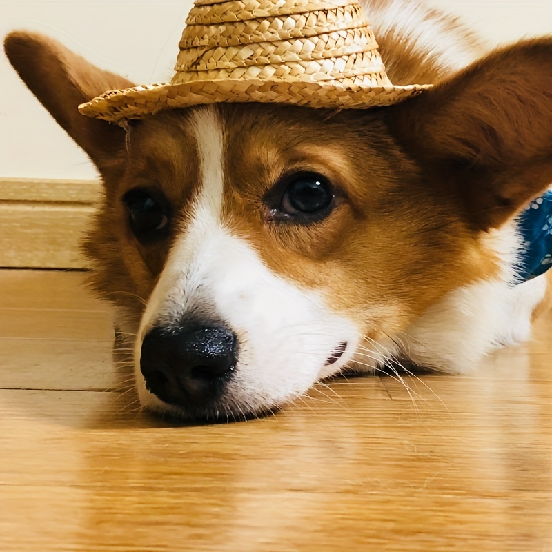 Adjustable Pet Sombrero Straw Hat For Summer Sun Protection - Temu