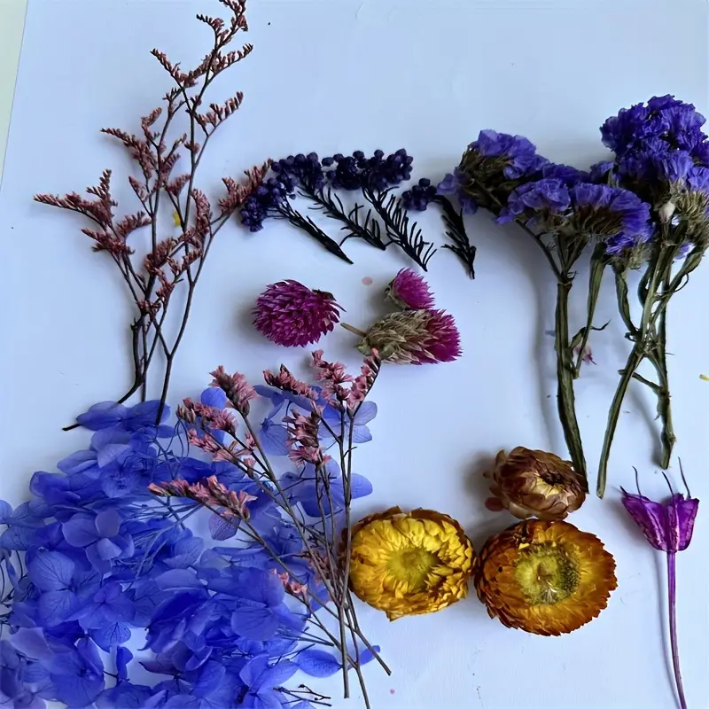 Real Natural Dried Flowers For Candle Making, Dry Pressed Flowers For Art  Craft Mixed Multiple Colorful Dried Flowers For Soap Candle Scrapbooking  Diy Resin - Temu Portugal