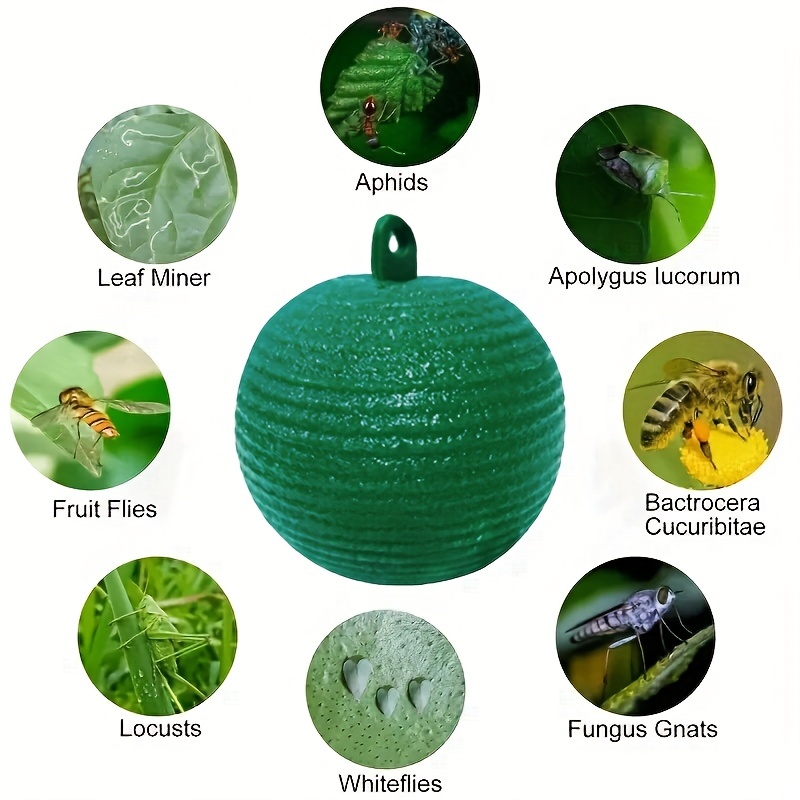 4pcs Sticky Fly Balls for Garden Insect Control