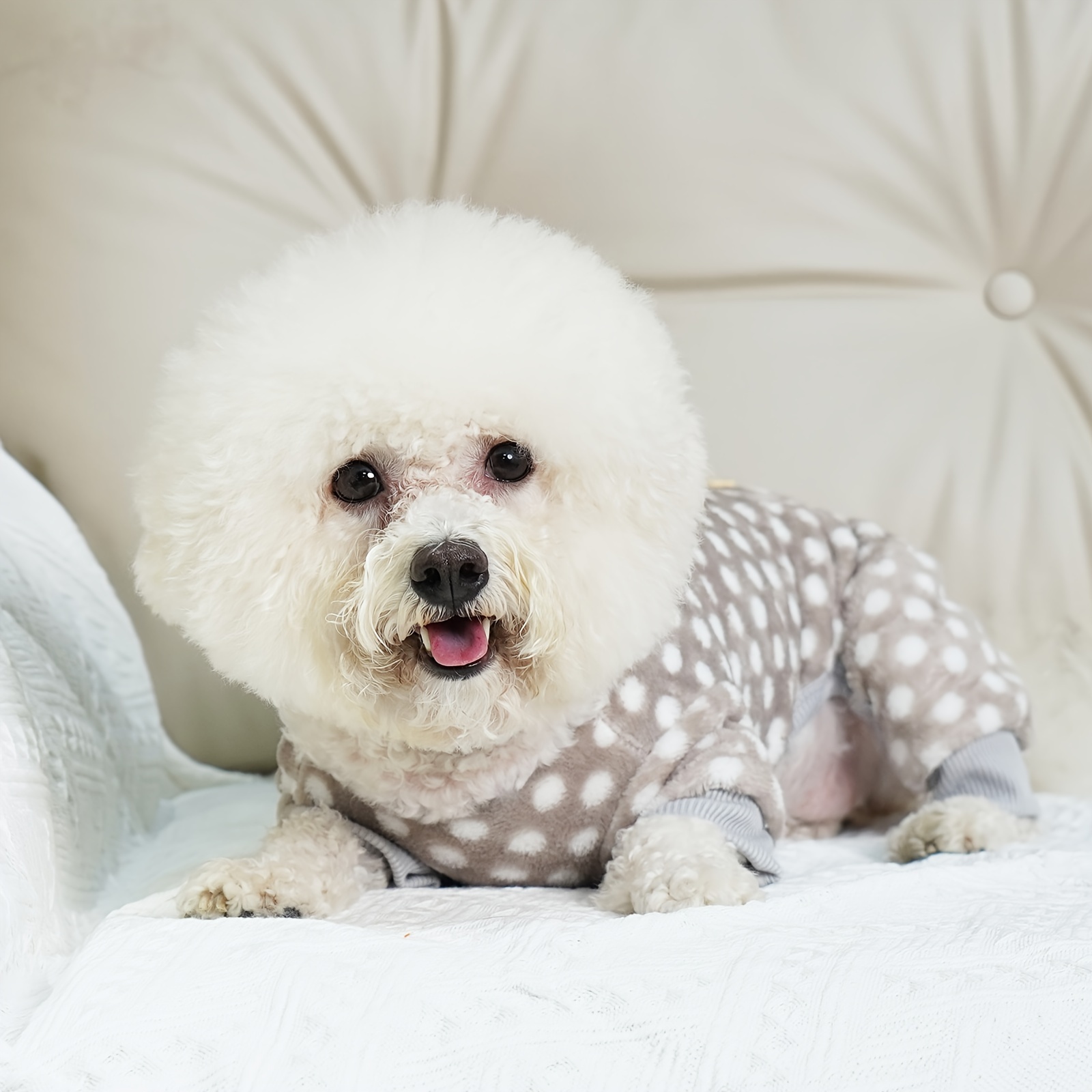 Pet holiday online pajamas