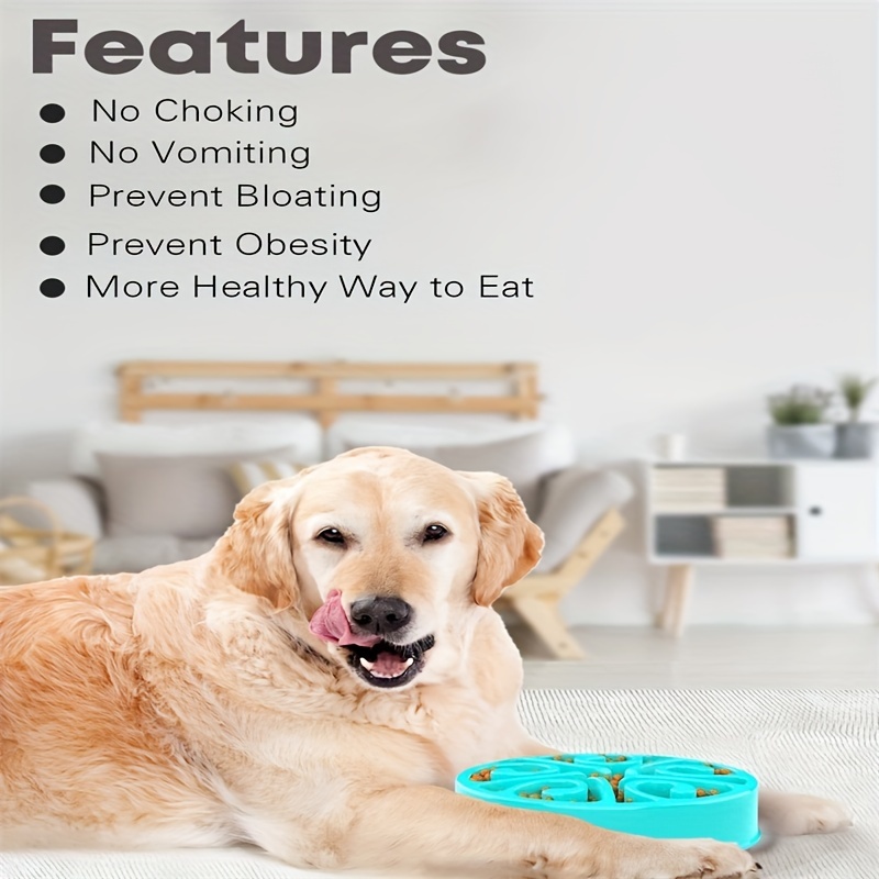 Small Dog Slow Feeder Bowl - Promotes Healthy Eating Habits And Reduces  Bloating - Temu