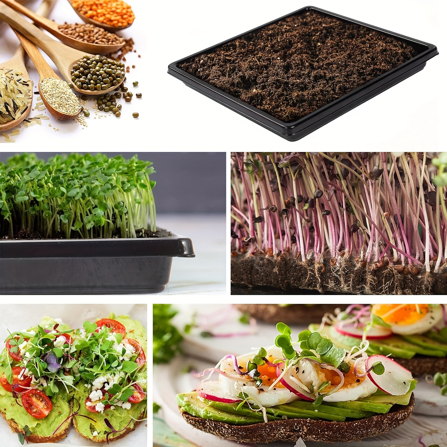 5 Packs, Plant Growing Trays No Drain Holes Microgreens Growing Trays  Thickened Garden Plant Seed Starter Indoor Greenhouse Seedling Propagation  Trays