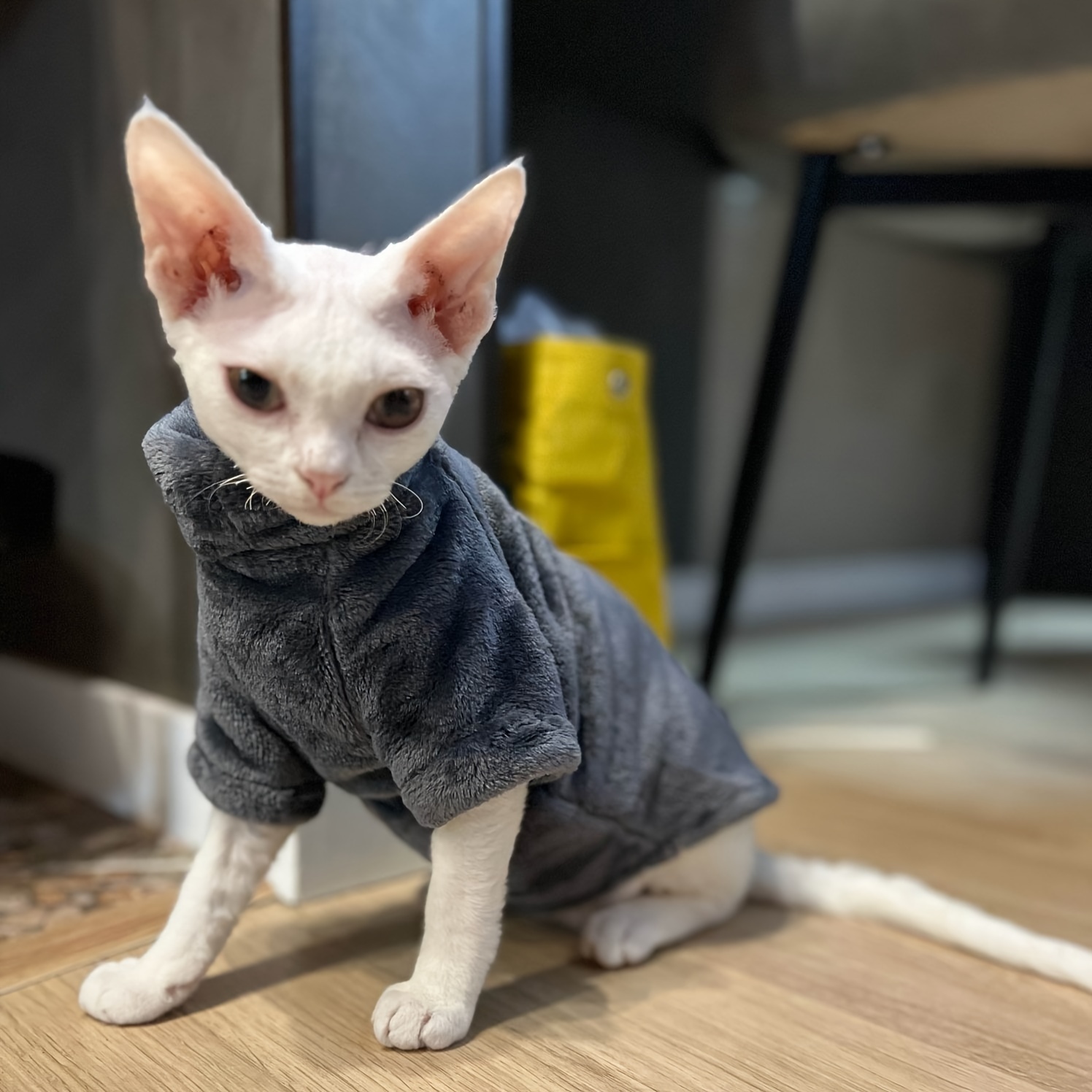 Winter Hairless Cat Sweater