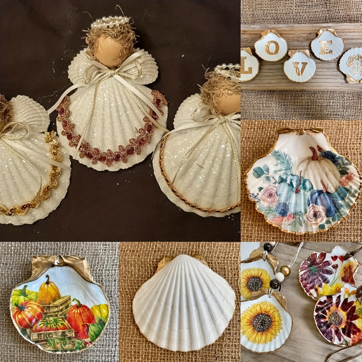 20pcs Natural Scallop Shells for DIY Crafts, Home Decor, and Vase Filler -  White Sea Shells from the Beach