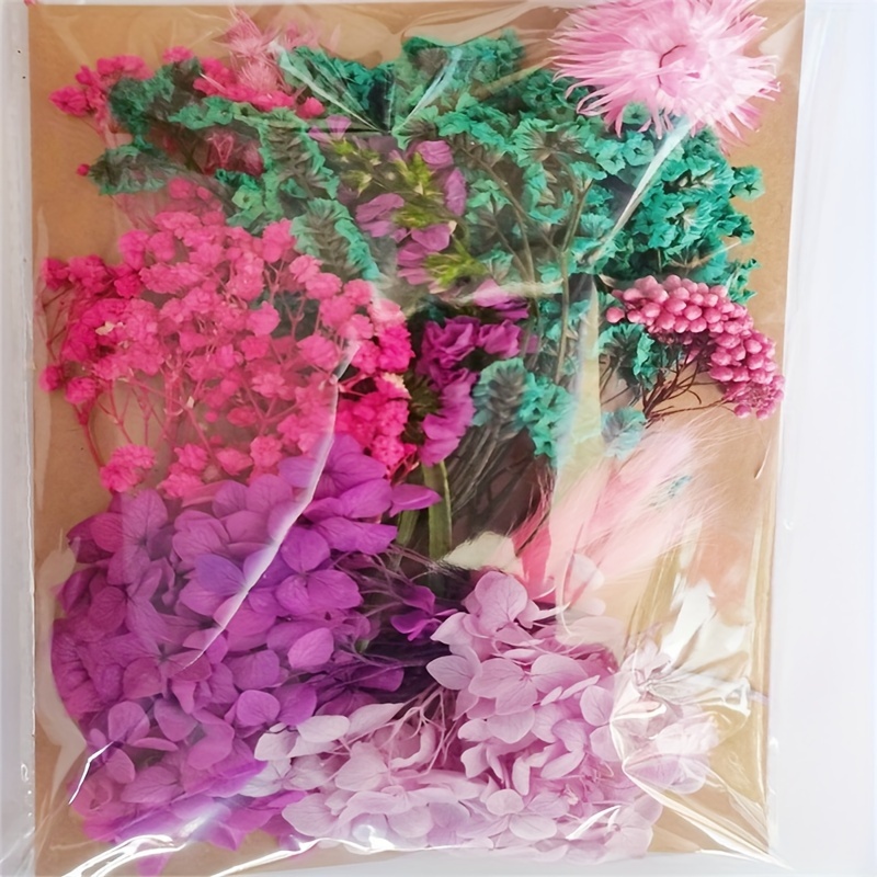 Dried Real Flowers for Crafts Pressed Pink Chrysanthemum Dry