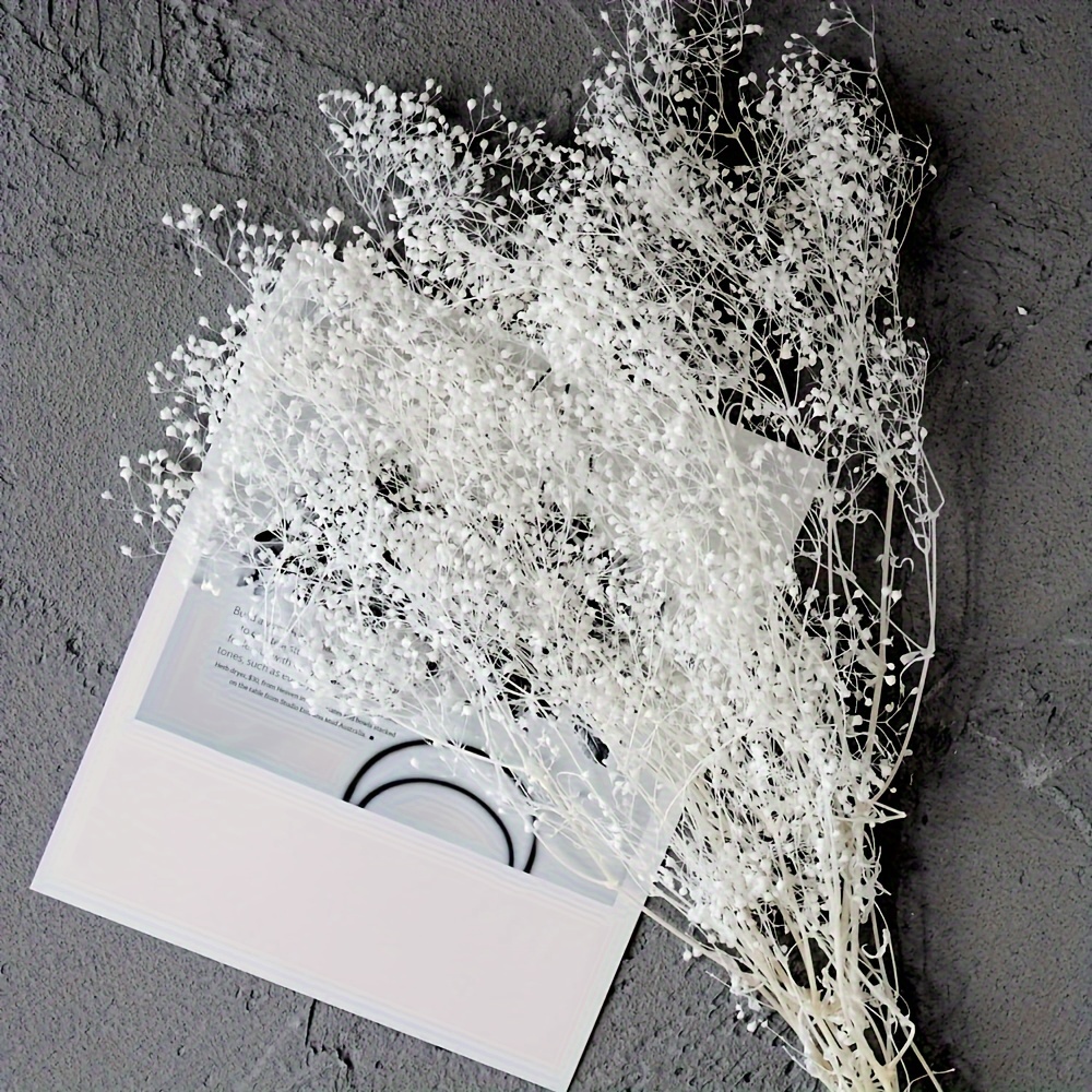 Dried White Flowers Natural Gypsophila Branches For Party - Temu