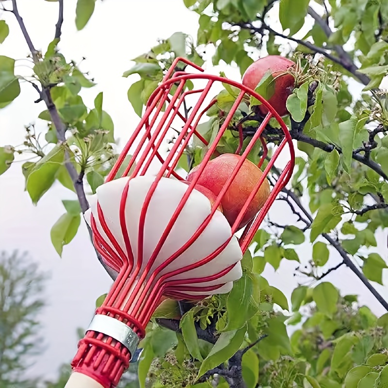 Recoge-frutos-telescópico-3,70-metros-manzana-recoleccion-pera