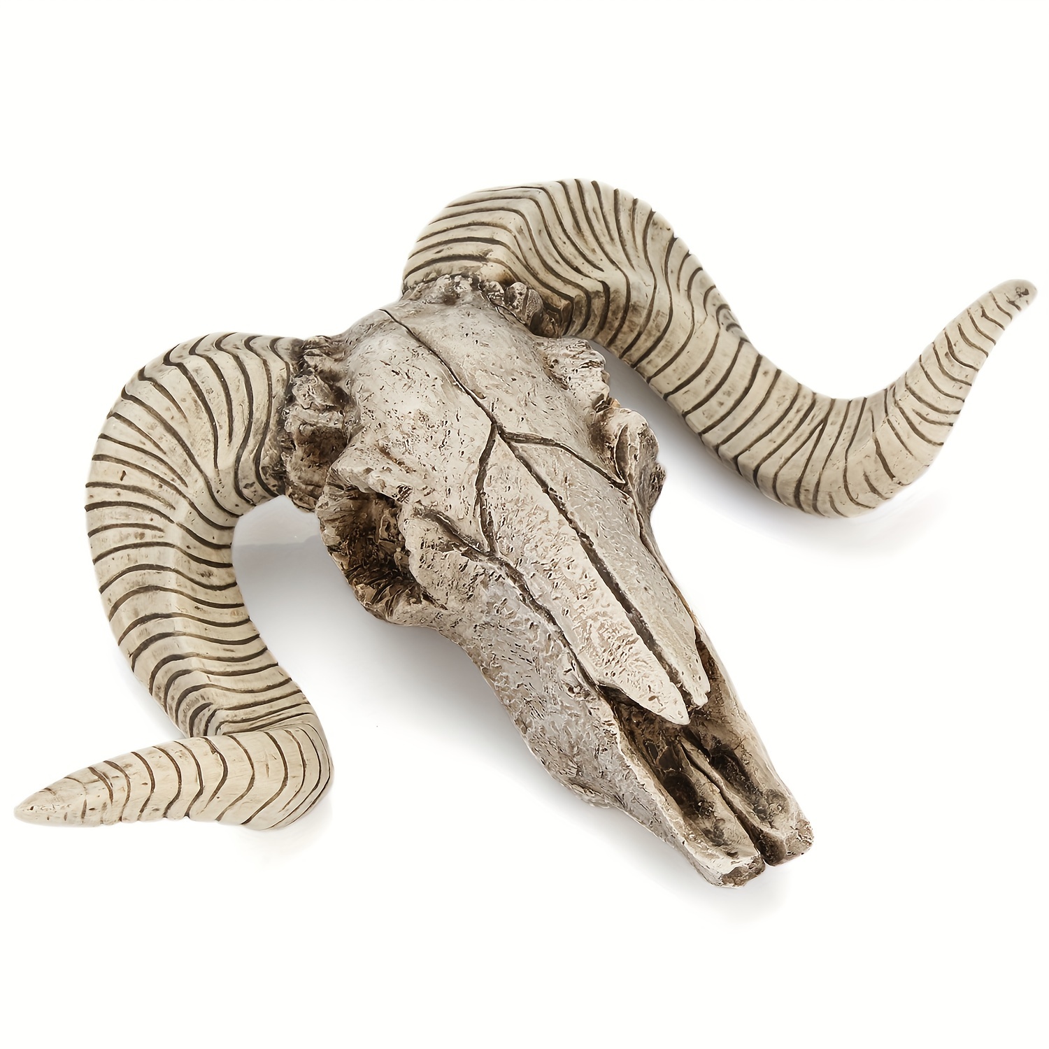 Resin Goat Skull Head Wall Hanging Decor Succulent Long Temu