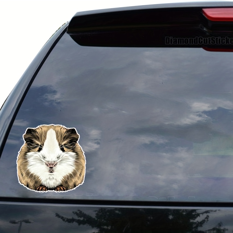 Guinea pig 2024 car decal