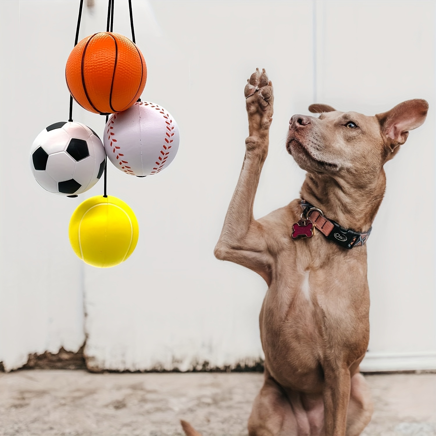 Ballon de retour - ballon de poignet