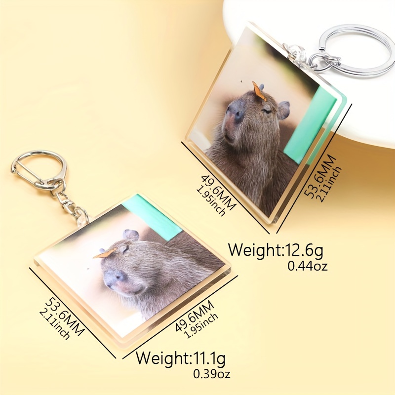 BIBABLYKE Cute Acrylic Keychain Adorable Capybara Acrylic Keyrings  Lightweight and Durable Keyring for Keys and Bags Accessory Acrylic at   Women's Clothing store