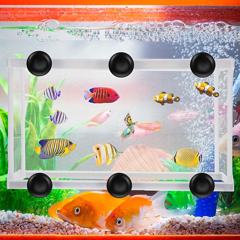 2pcs Multifunctional Fish Tank Isolation Nets Aquarium Betta Isolation  Board Aquarium Suction Cup Breeding Box - Pet Supplies - Temu Canada