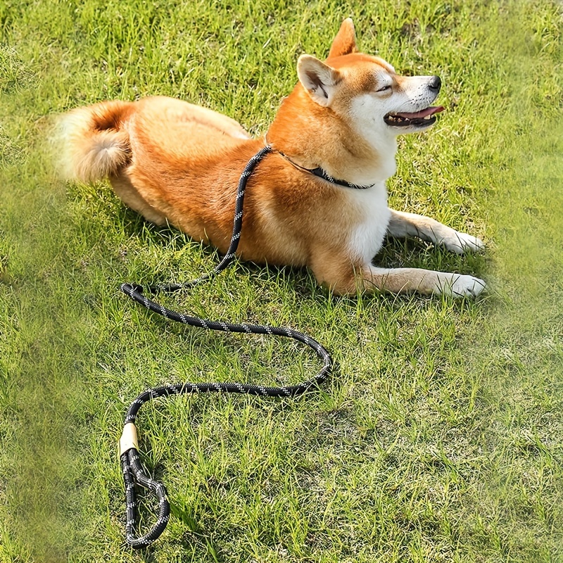 Laisse Pour Chien Avec Mousqueton À Glissière, Laisse En Corde