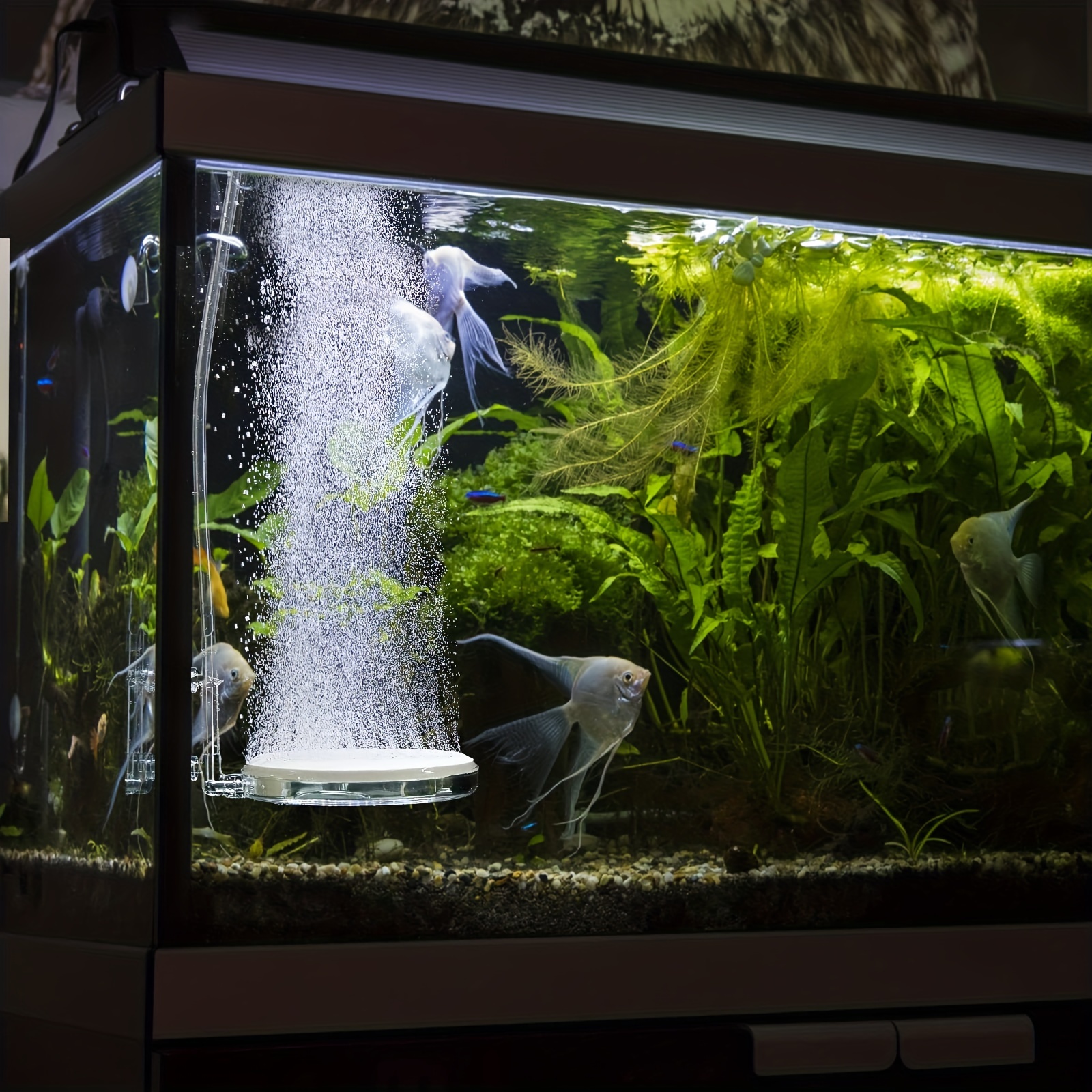 Fish Tank Aquarium Bubble Bar Aquarium Oxygen Bar Diffuser - Temu