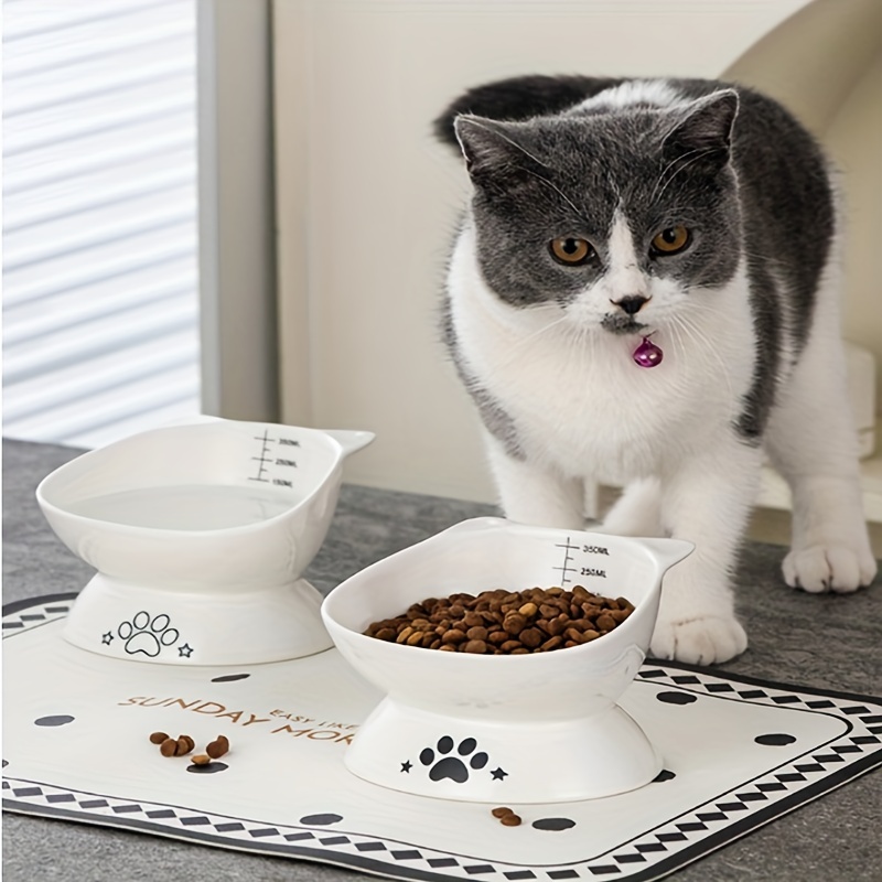 Raised Pet Bowls With Stand: Multifunctional Tilted Ceramic - Temu