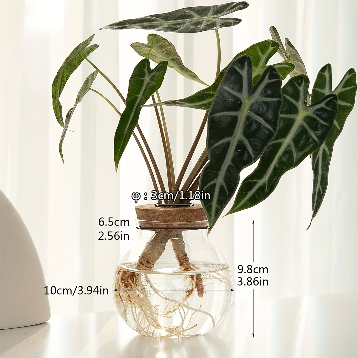 1pc Bottle with Wooden Stopper Bottle Hydroponics Flower Bottle Container with Lid House Plant Pots Glass Vases Container Flower Arrangement Vase Ecosystem Containe Creative Hydroponic Planter for Living Room, Office, and Desktop Garden Decor