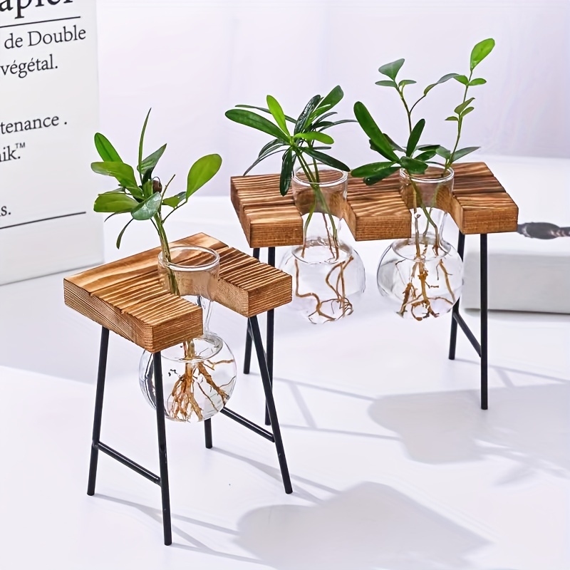 Plant Terrarium Wooden Stand Pneumatic Flowerpot Glass Vase - Temu