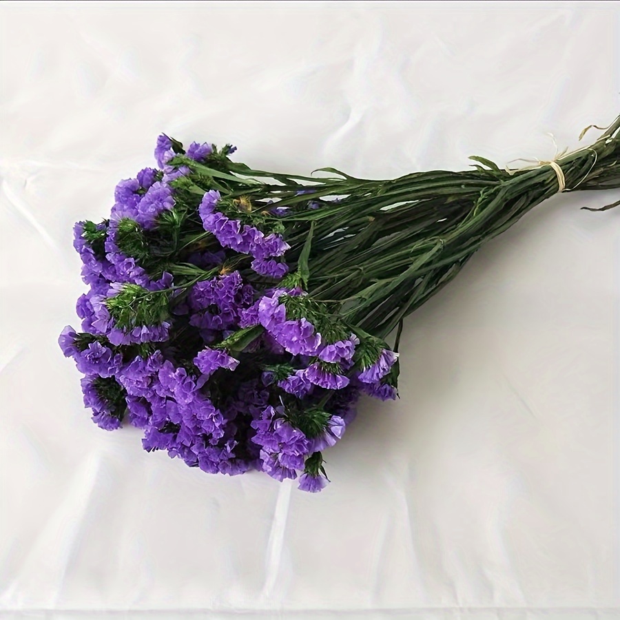 Dried Flower Bouquet Baby Breath Eucalyptus Roses Dry Flower - Temu