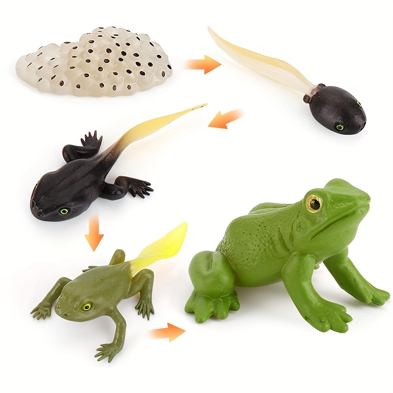 Plastic Frogs Toy Mini Vinyl Realistic Frog Toy Decorations - Temu Mexico