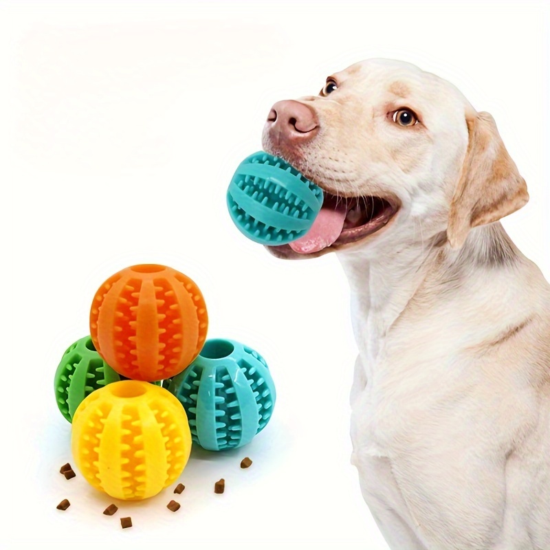 Dog Ball Toys for Small Dogs Interactive Elasticity Puppy Chew Toy Too –  PupperToyz