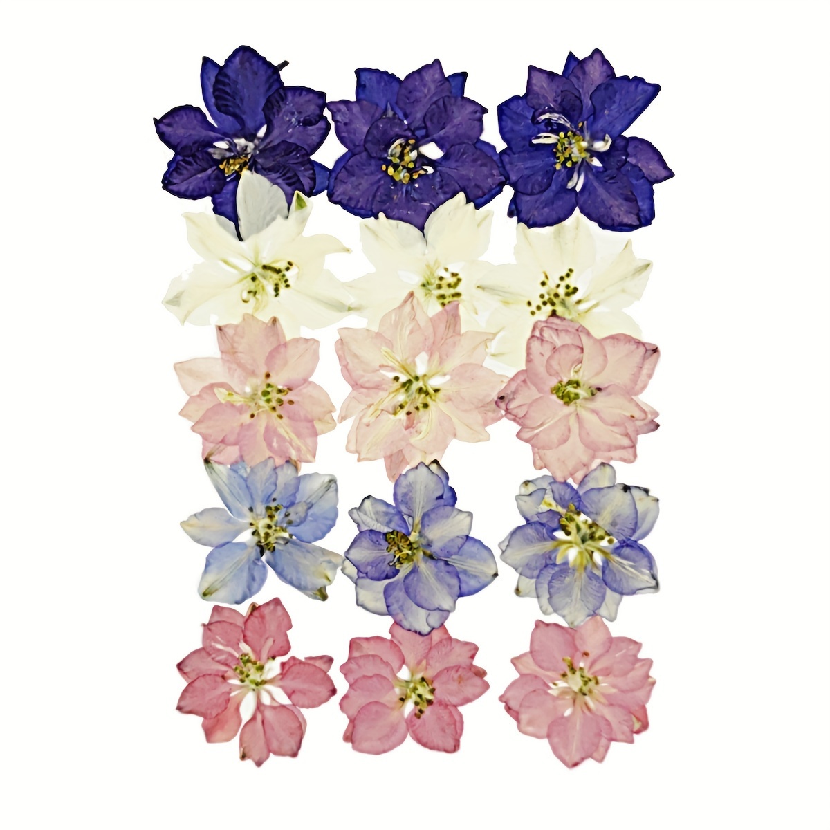 

15pcs Handmade Pressed Flowers, Used For Nail Art, Beauty, Resin Crafts, Candle Making, Diy Crafts, Etc.