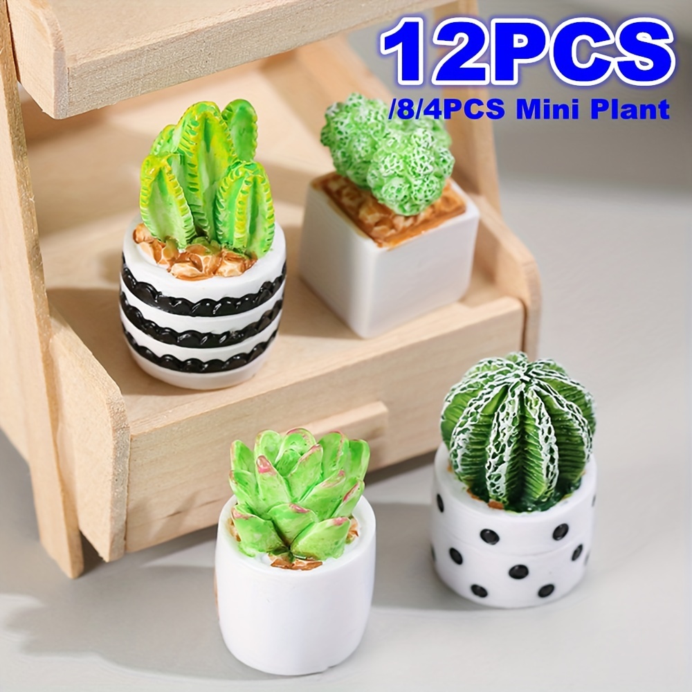 12pcs Planta Suculenta Simulación, Accesorios Combinación