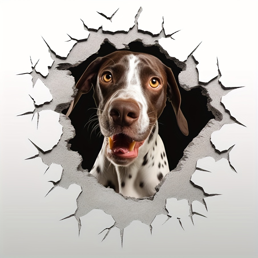 German pointer outlet gifts