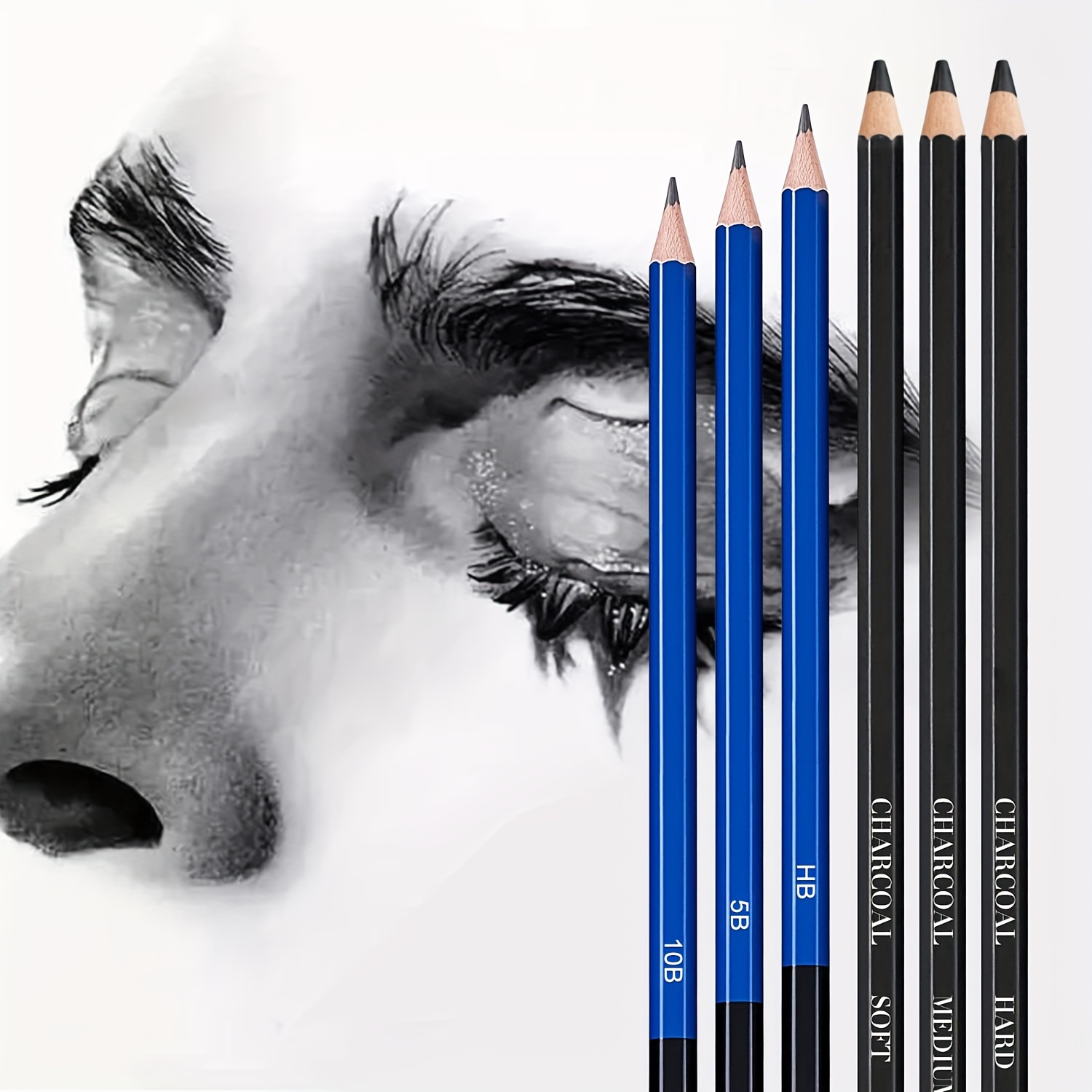 Sketch pencil set 40 Pcs, Professional pencils for Sketching Drawing Kit  Including Graphite Charcoal Willow Sticks Erasers Sharpeners with Carry  Bag, Art Supplies Students draw ~ Premify