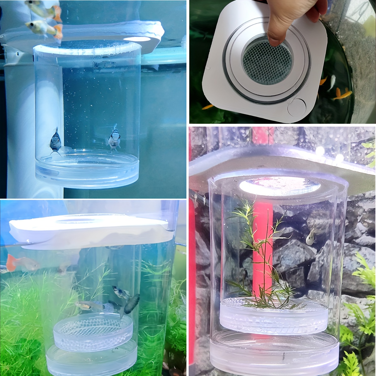 Aquarium Fish Breeder Box Plastic Fish Isolation Breeding - Temu