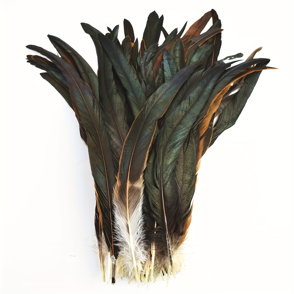 Natural Rooster Tail Feathers Decor / Natural Chicken - Temu