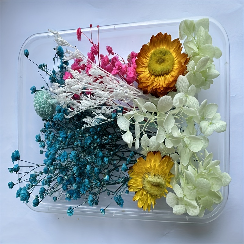 Dried Flowers For Resin Pressed Flowers Dry Flowers Eternal - Temu